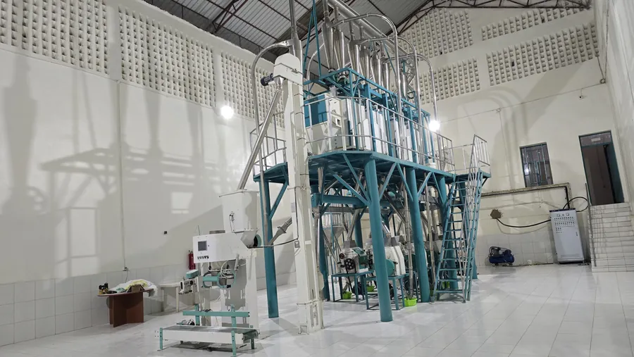 Industrial process plant with multi-level milling equipment
