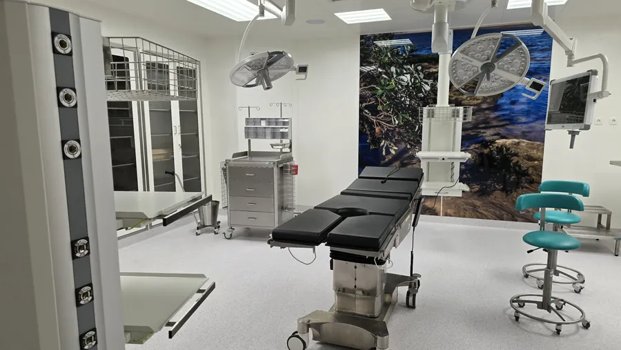 Hospital operating theatre with medical gas pendants