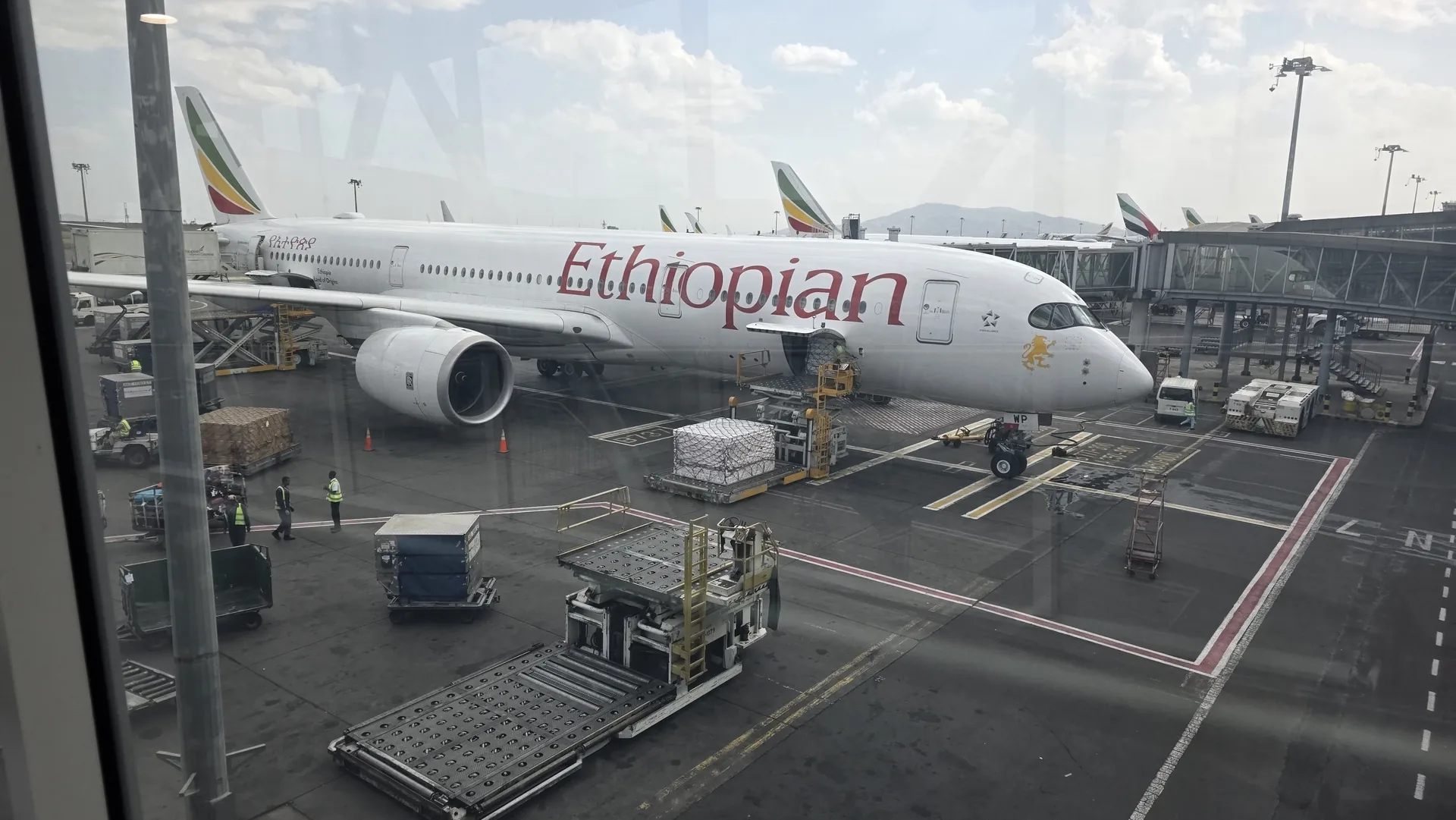 Ethiopian Airlines Airbus A350 at the jetbridge with the fleet behind at Addis Ababa Bole International Airport